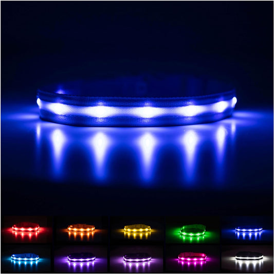 Brightest Light up Dog Collars 